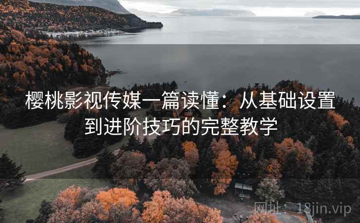 樱桃影视传媒一篇读懂:从基础设置到进阶技巧的完整教学