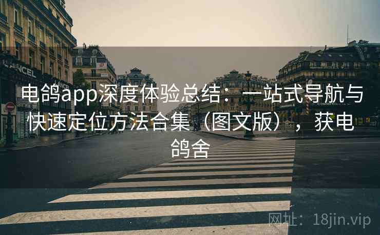 电鸽app深度体验总结：一站式导航与快速定位方法合集（图文版），获电鸽舍