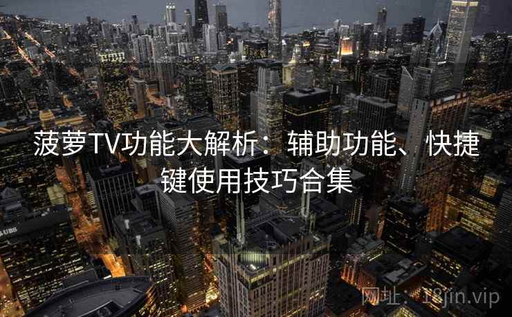 菠萝TV功能大解析：辅助功能、快捷键使用技巧合集  第2张