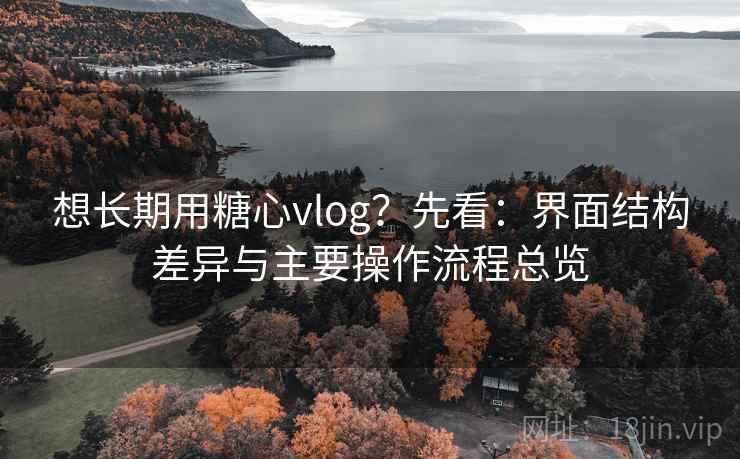 想长期用糖心vlog？先看：界面结构差异与主要操作流程总览