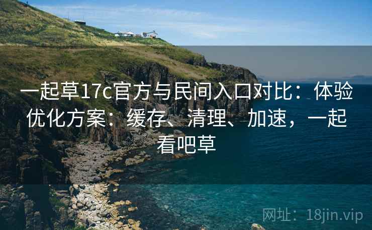 一起草17c官方与民间入口对比：体验优化方案：缓存、清理、加速，一起看吧草