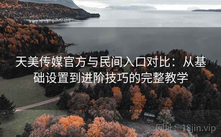 天美传媒官方与民间入口对比:从基础设置到进阶技巧的完整教学