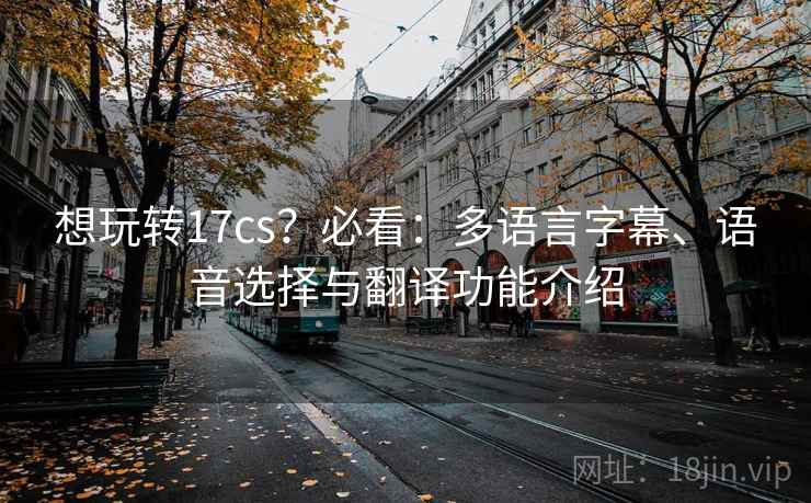 想玩转17cs？必看：多语言字幕、语音选择与翻译功能介绍  第2张