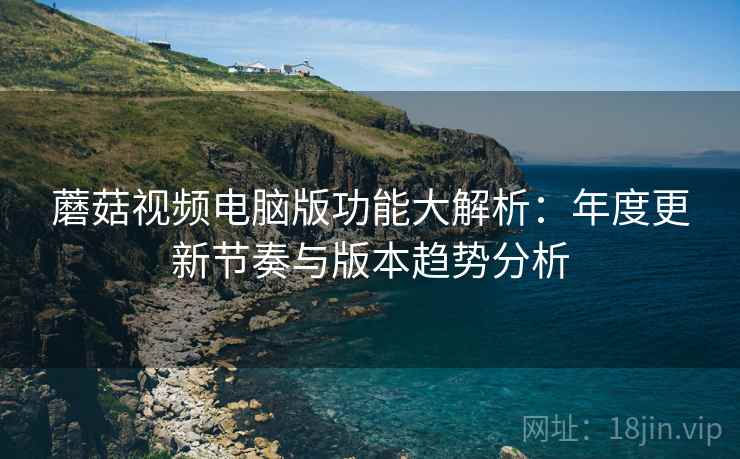 蘑菇视频电脑版功能大解析：年度更新节奏与版本趋势分析