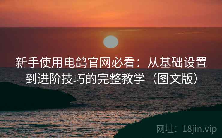新手使用电鸽官网必看：从基础设置到进阶技巧的完整教学（图文版）