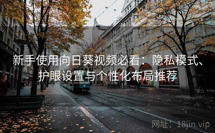 新手使用向日葵视频必看：隐私模式、护眼设置与个性化布局推荐  第2张
