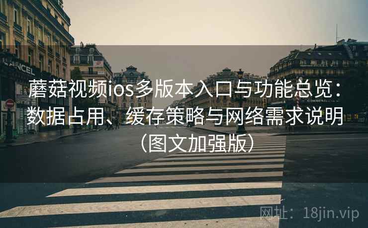 蘑菇视频ios多版本入口与功能总览：数据占用、缓存策略与网络需求说明（图文加强版）