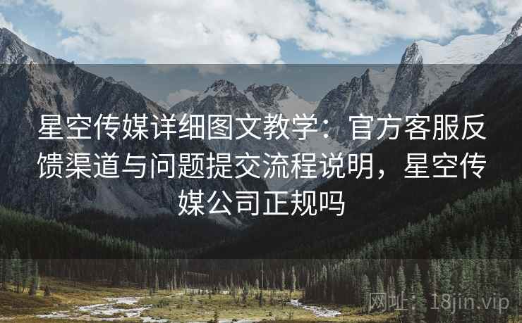 星空传媒详细图文教学：官方客服反馈渠道与问题提交流程说明，星空传媒公司正规吗