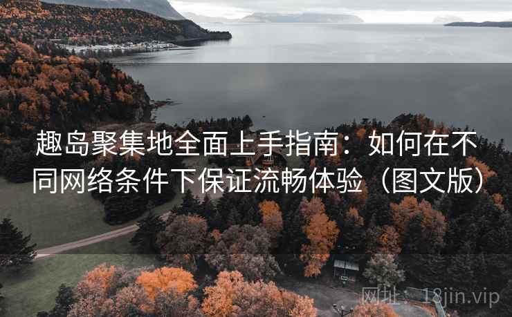 趣岛聚集地全面上手指南：如何在不同网络条件下保证流畅体验（图文版）